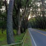 [自転車旅行] 2012/11/08：福岡県福岡市～佐賀県唐津市(ネカフェ)