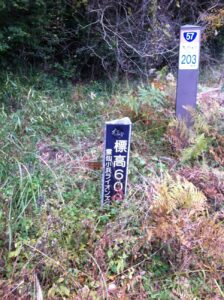 雲仙（標高600m地点、もうちょいです）