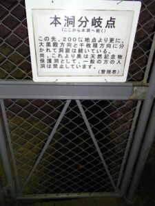 観光順路の最奥(ここから洞窟はまだ続きますが、観光はここまで)