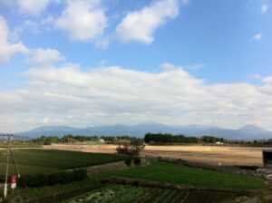 鹿児島空港の周辺を散策（回りに茶畑が見えます）